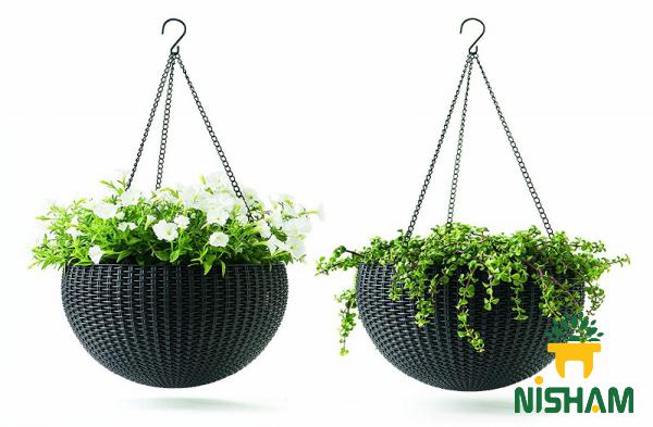 3 Important Features of Hanging Plastic Pot