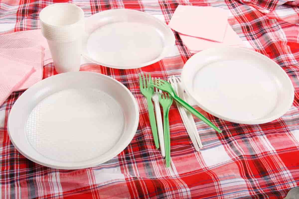 disposable plate/Sellers at the resonable price disposable plate 