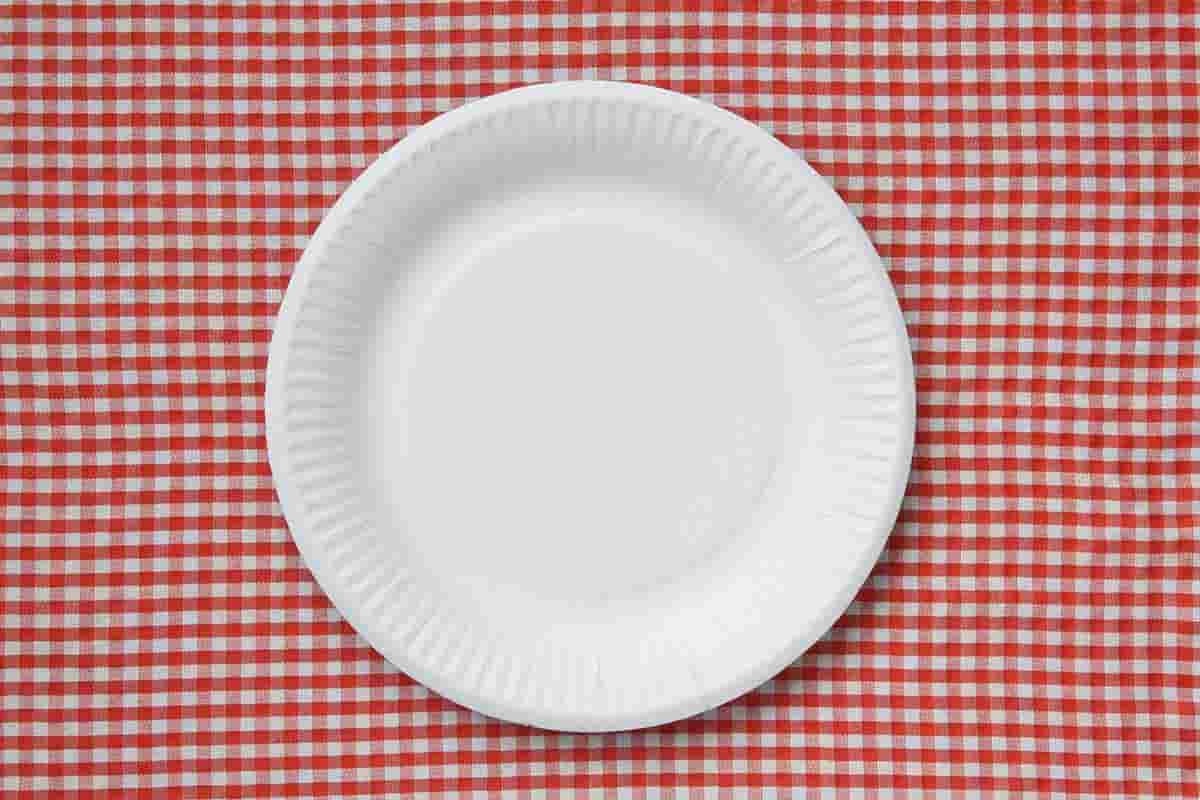  disposable plate/Sellers at the resonable price disposable plate 