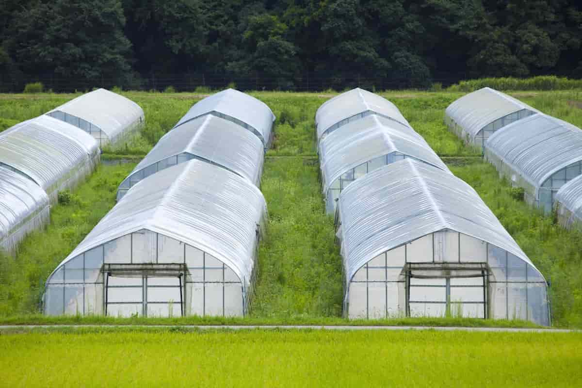  Buy the latest types of agriculture plastic cover 