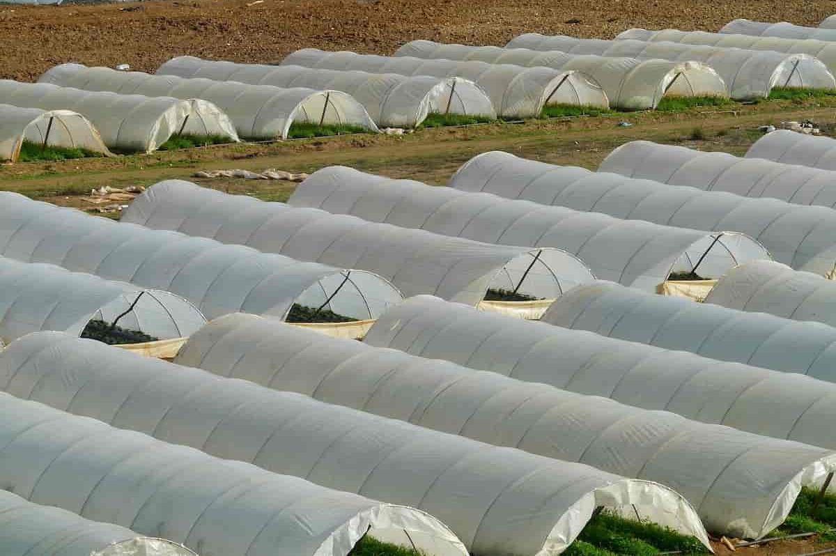  Buy the latest types of agriculture plastic cover 
